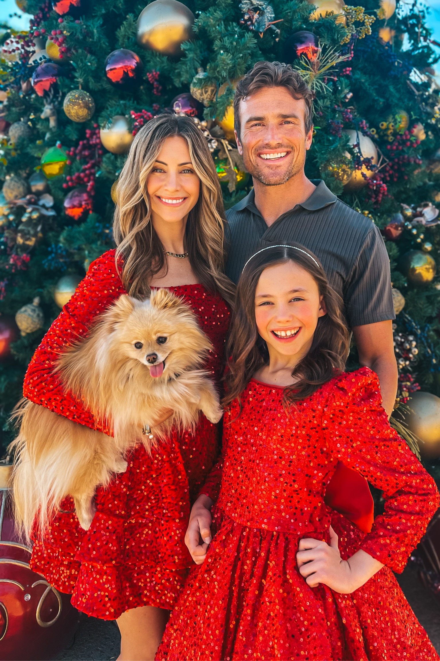 Family Christmas Outfits 🎄

Christmas dress, holiday dress, girls dress, boots, men’s shirt. Family outfits, matching family outfits, mommy and me dresses. #ltkpetite

#LTKFamily #LTKFindsUnder100 #LTKHoliday