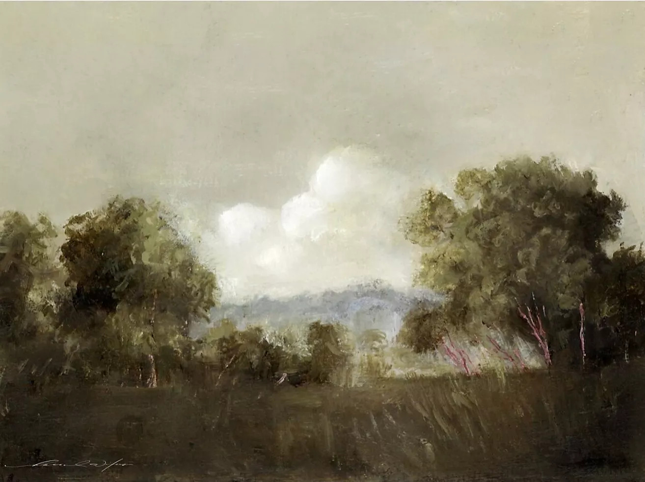 Shoppe Amber Interiors Campbell's Oak No. 1 by Hannah Winters | Anthropologie (US)