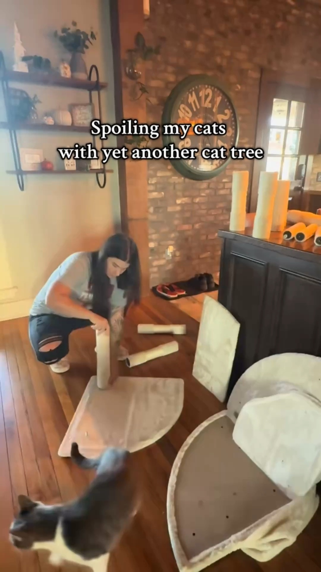 When your kids are grown, you spoil your 5 cqts. 
I really like this one. It fits nicely in the corner of my dining room, and gives them plenty of areas to lounge in!


#cat #cats #catmom #catlover #housefullofcats #houseofcats #cattower
#cathouse #cattree 

#LTKCyberWeek #LTKHome #LTKFindsUnder100