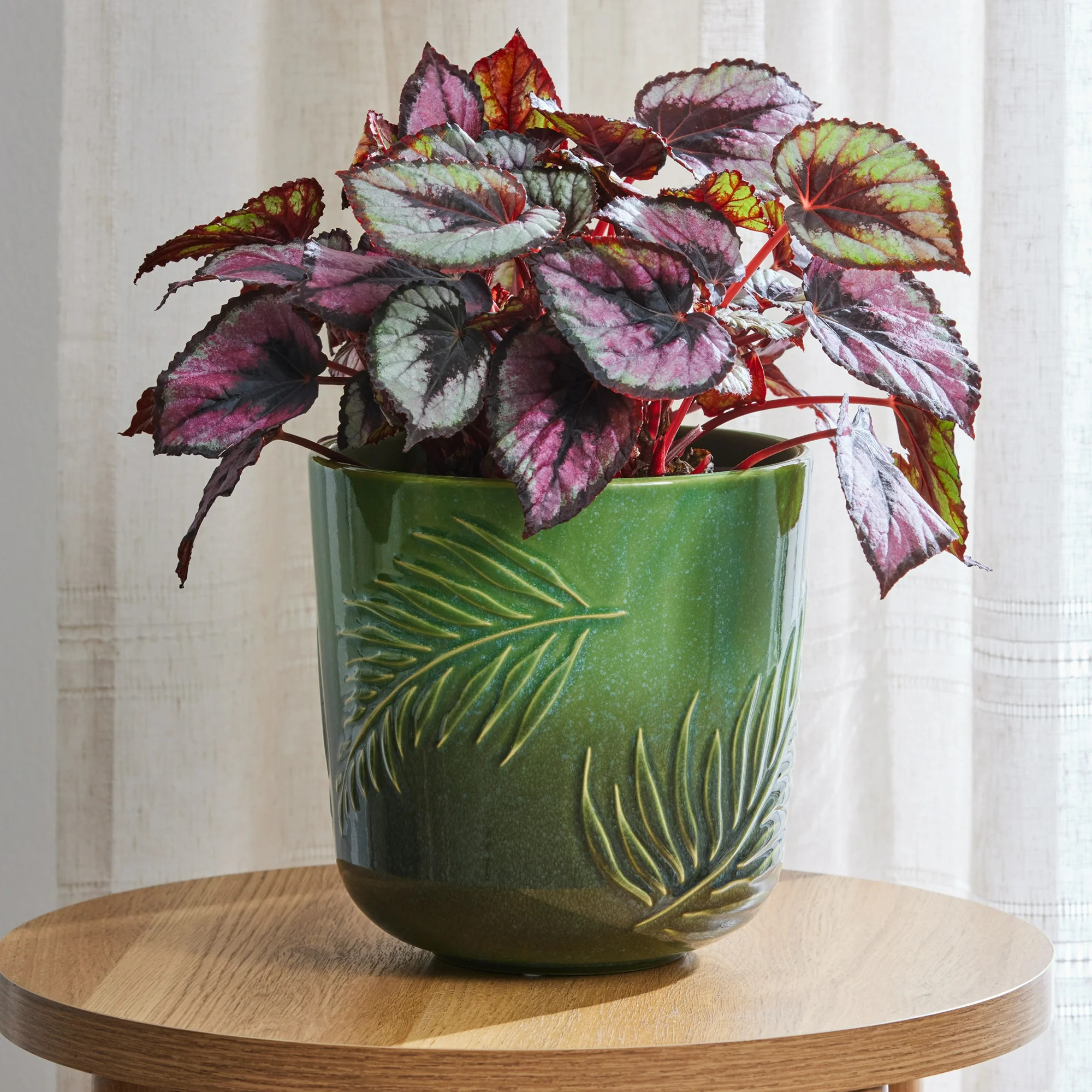 Better Homes & Gardens 8-Inch Ceramic Planter with Botanical Design | Walmart (US)