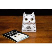 Phrenology Cat Bust - Ceramic Figure | Etsy (US)