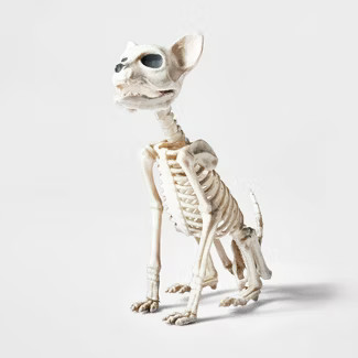 Sitting Kitten Skeleton Halloween Decorative Prop - Hyde & EEK! Boutique™ | Target