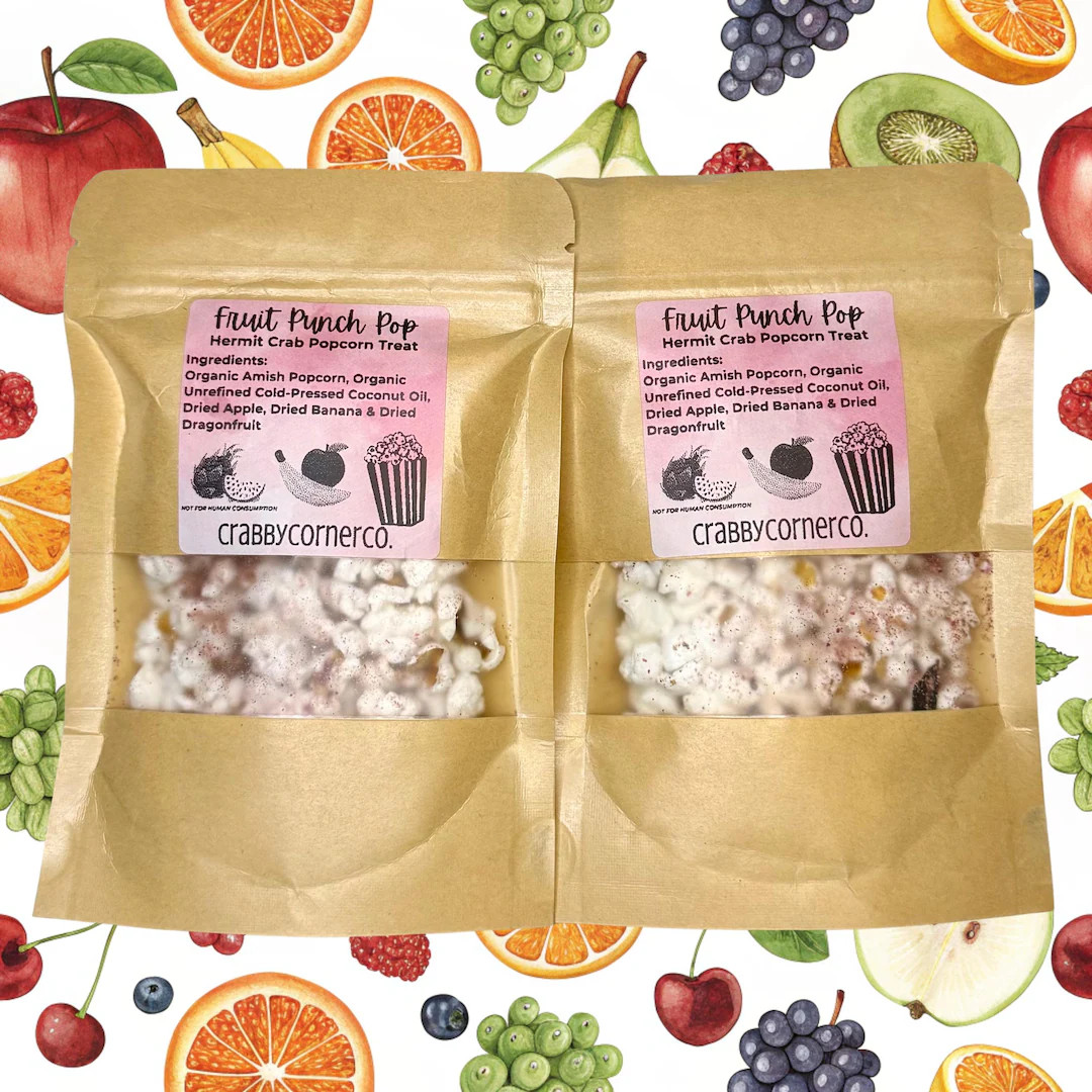 Hermit Crab Popcorn Treat Fruit Punch Flavor, Hermit Crab Treat, Natural Popcorn for Hermit Crabs... | Etsy (US)