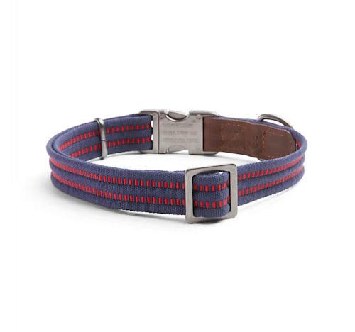 Reddy Webbed Dog Collar, Navy, Large/X-Large | Petco