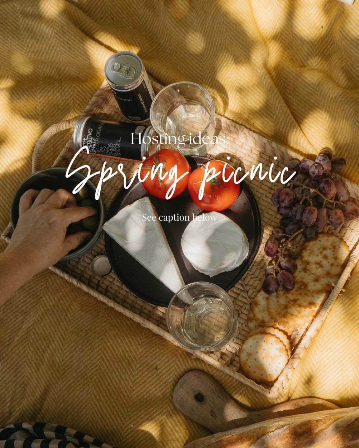 Longing for picnic weather!



#LTKhome #LTKSeasonal #LTKeurope