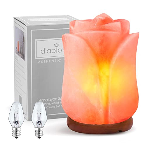 d'aplomb 100% Authentic Natural Himalayan Salt Lamp; Hand Carved Flower Rose Pink Crystal Rock Salt  | Amazon (US)