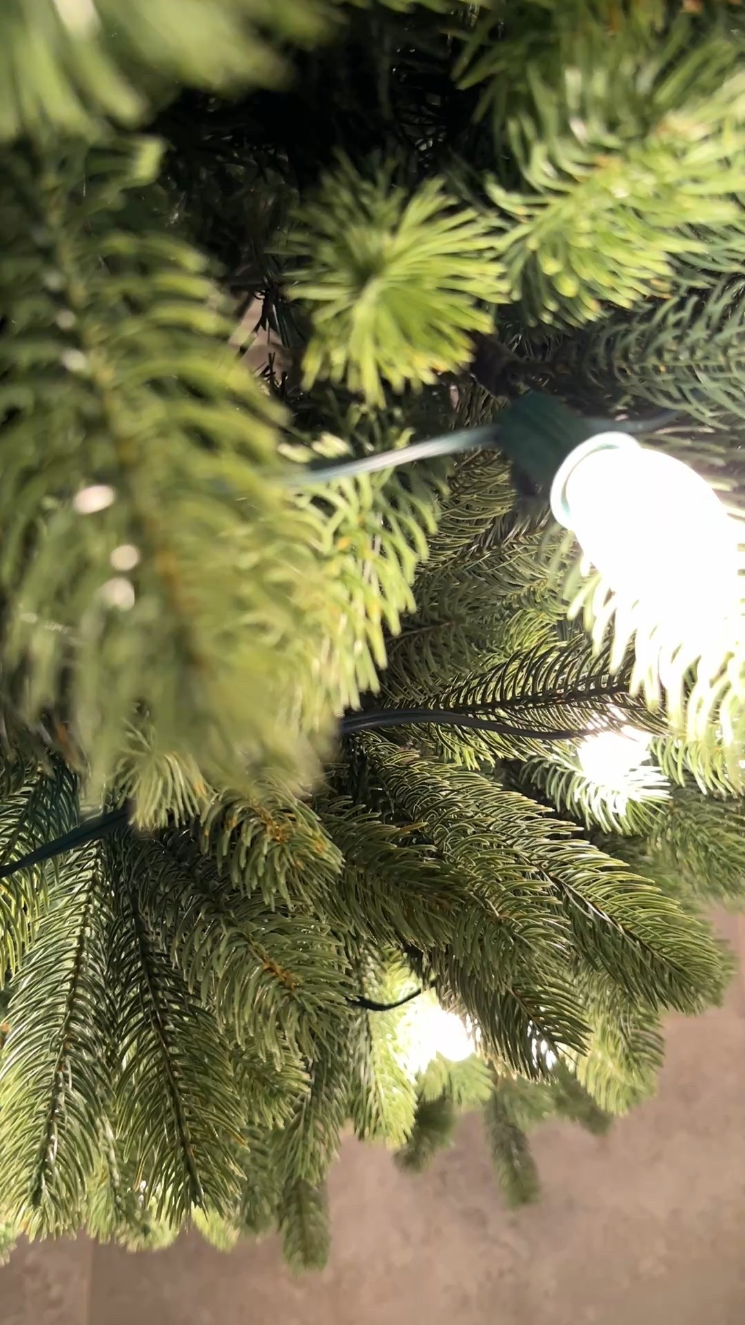 King of Christmas Royal Fir with Vintage Lights 

#LTKHoliday #LTKSeasonal #LTKHome