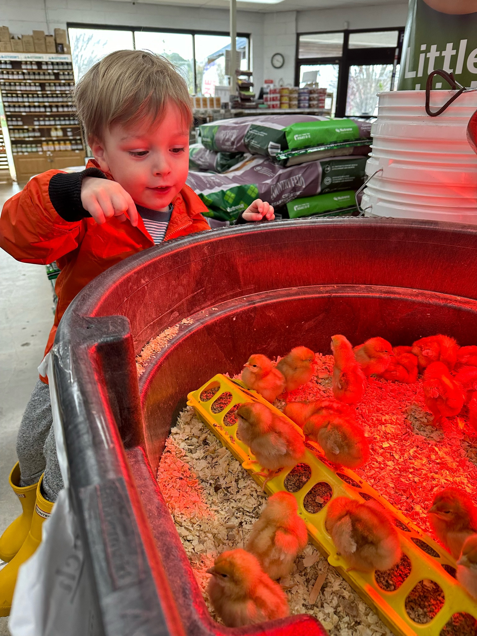 The best budget raincoat for toddler and kids - comes in 9 colors! You’ll also love the price of these joggers we live in. 

#LTKkids #LTKfamily #LTKbaby