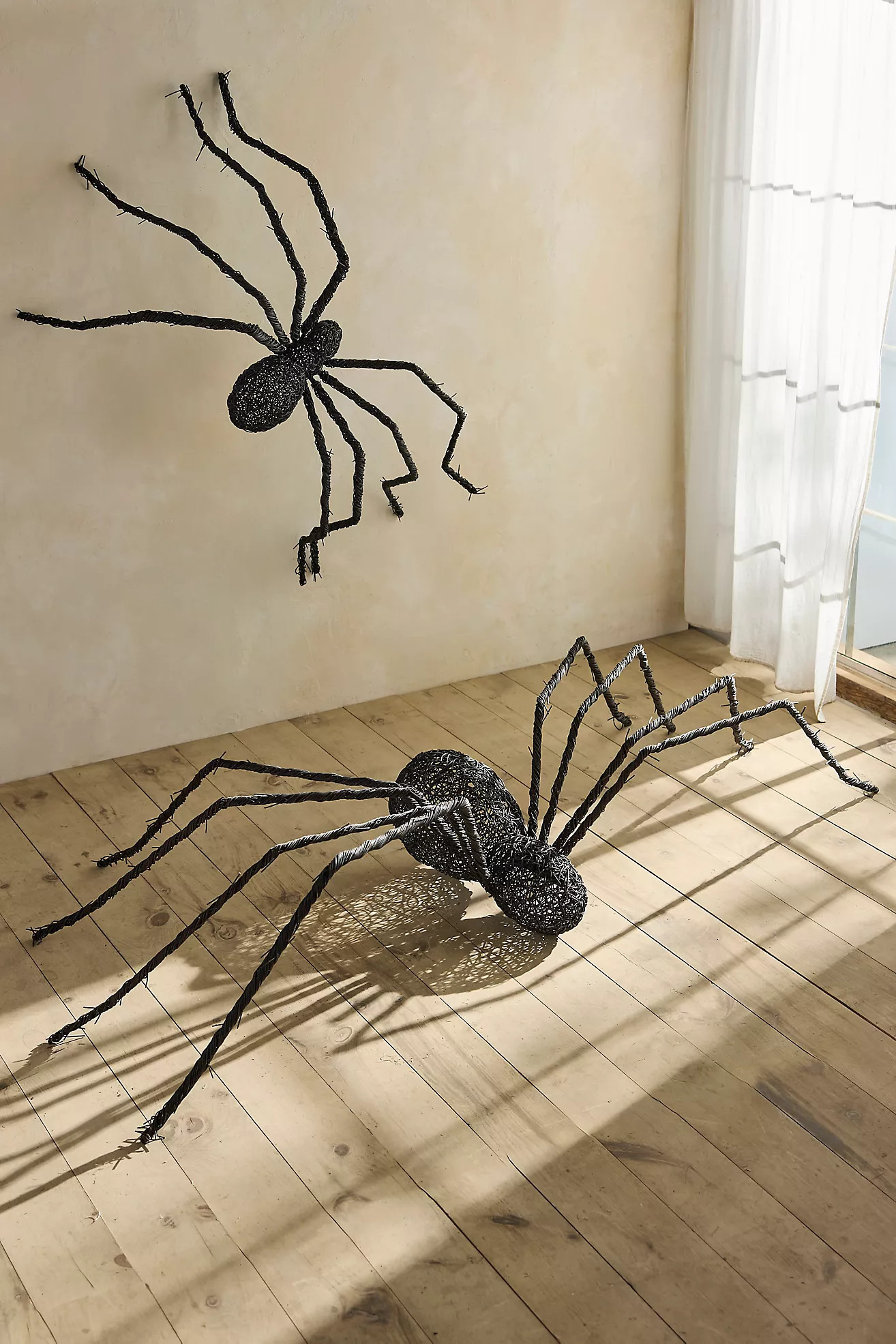 Giant Rattan Vine Spider | Terrain