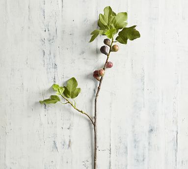 Faux Fig Branch | Pottery Barn (US)