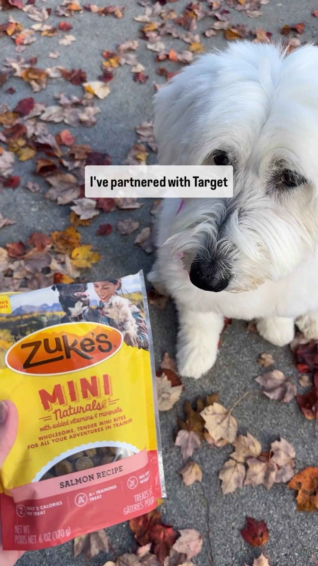 Doing a blind taste test (nobody tell her that she can’t read anyways😬) with our Old English Sheepdog, Liberty, to see which of the @zukespets Mini Naturals flavors is her favorite. Do you think she ate them slow enough to taste the difference?! 🤣 Zuke’s has different varieties for what your dog needs as they age. I’m linking their Hip and Joint formula via my profile on the @Shop.LTK app app or this link too  

I swear this was her favorite activity to date!! 😋

@target #ad #Chooseyouradventure #Zukespack #letsgozukes #TargetPartner #Target #PurinaTreatsPartner 

#LTKSeasonal #LTKHoliday #LTKGiftGuide