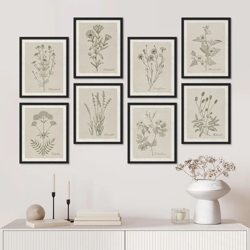 Wildflower, Botanical Floral, Minimalist Decor, Vintage Poster Framed On Paper 8 Pieces Print | Wayfair North America