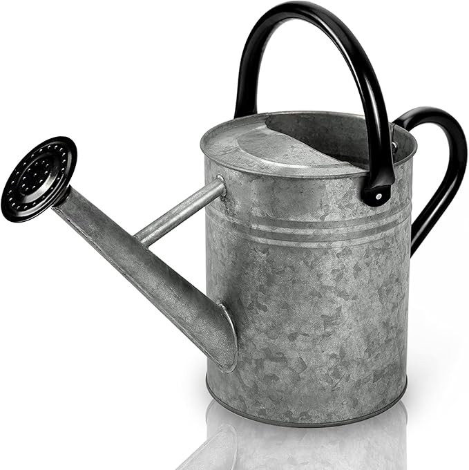 Cesun Metal Watering Can 1 Gallon for Outdoors Plants, Galvanized Steel Watering Pot with Removab... | Amazon (US)