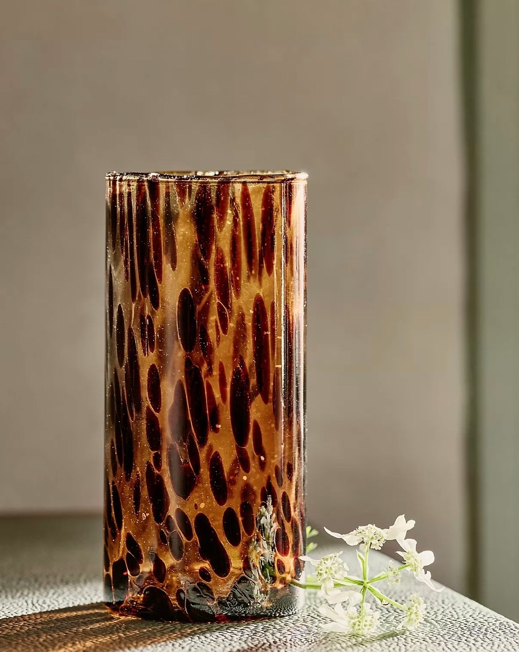 Gia Tortoise Highball Glass

#LTKmomlife #LTKHome #LTKmorningroutine