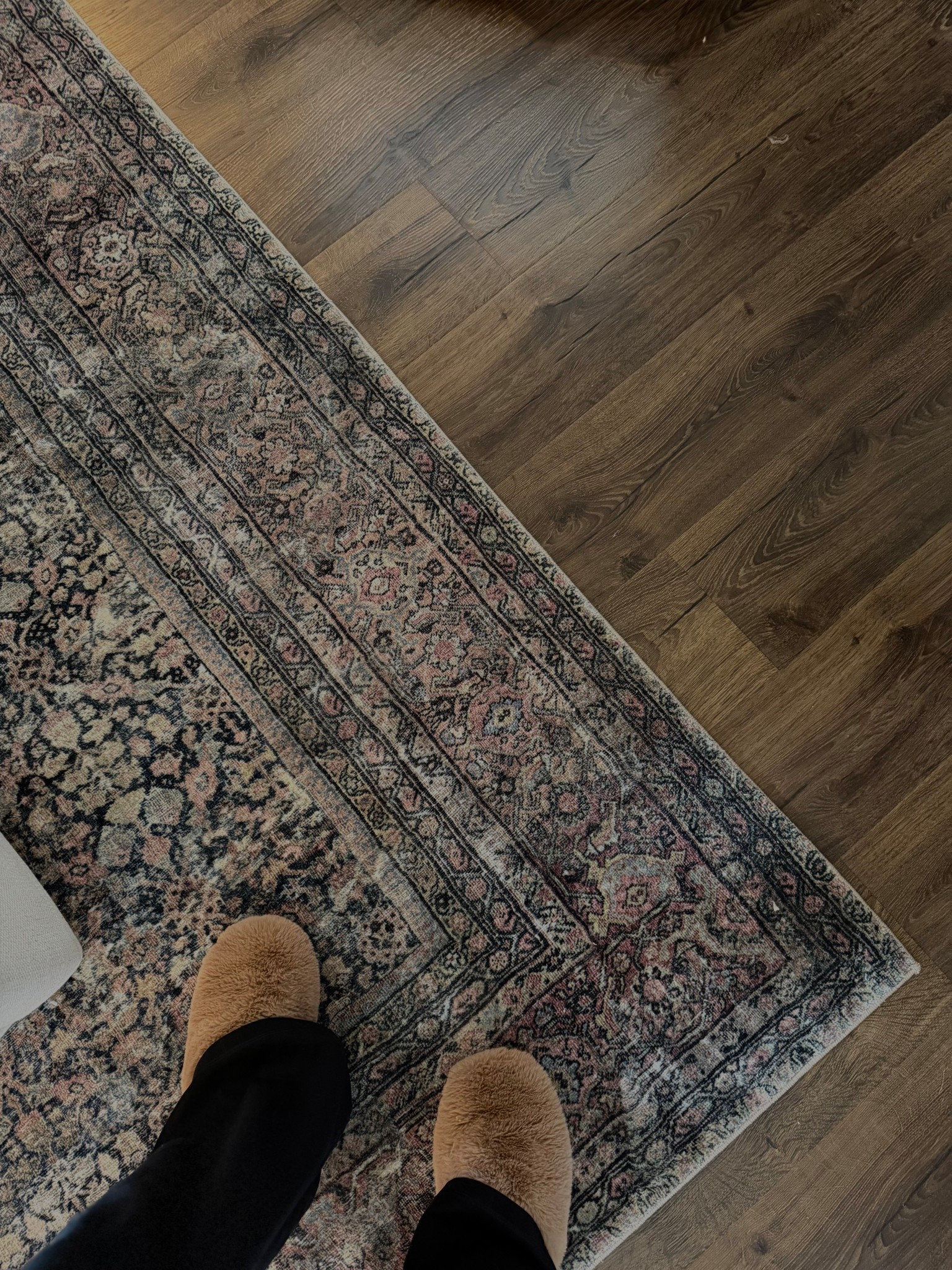 My guest room rug is the area rug version of my kitchen runners! The prettiest moody rug 🤎 Also linked these cozy Target slippers!! 

Loloi Amber Lewis Morgan rug denim multi 

#LTKHome #LTKSaleAlert