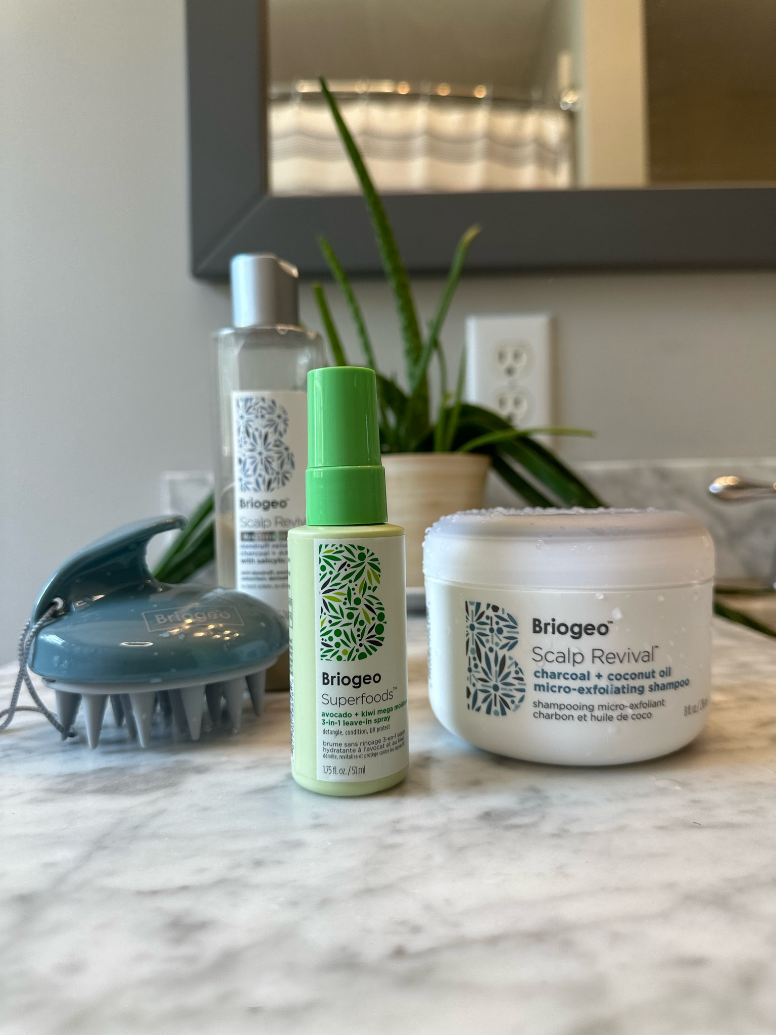 The level 5 shower essentials everyone needs! 

#LTKFindsUnder50 #LTKFindsUnder100 #LTKBeauty