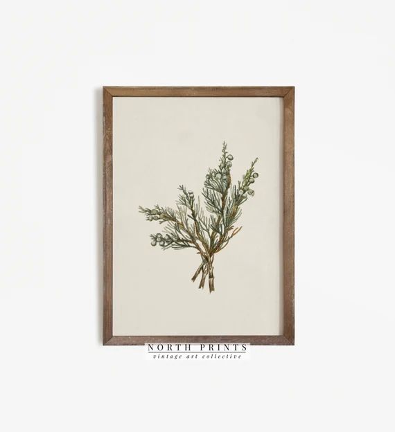 Winter Branch Art Print  Country Christmas Holiday PRINTABLE - Etsy | Etsy (US)
