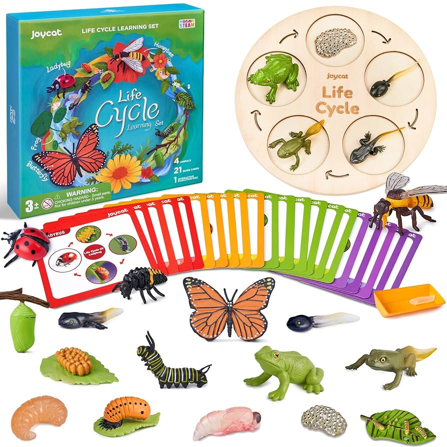 JoyCat Life Cycle Learning Education Toys, Insect Caterpillar to Butterfly kit, Ladybug, Bee, Tad... | Amazon (US)