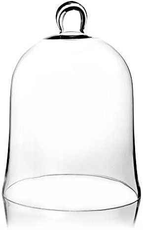 CYS EXCEL Glass Bell Dome Cloche (H:12" W:8.5") | Multiple Size Choices Enchanted Rose Glass Cove... | Amazon (US)