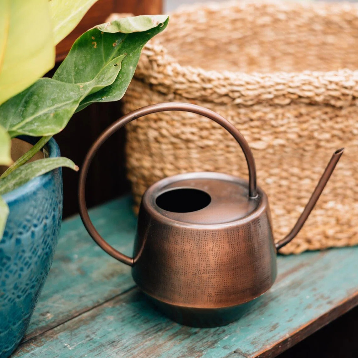 Arlmont & Co. Antique Copper Watering Can | Wayfair | Wayfair North America