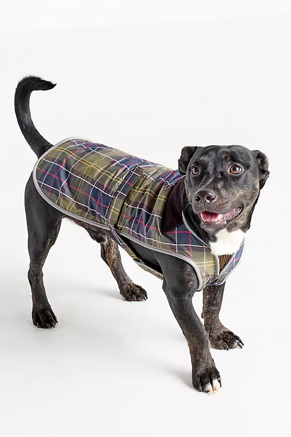 Tartan Dog Coat Jacket | Anthropologie (US)