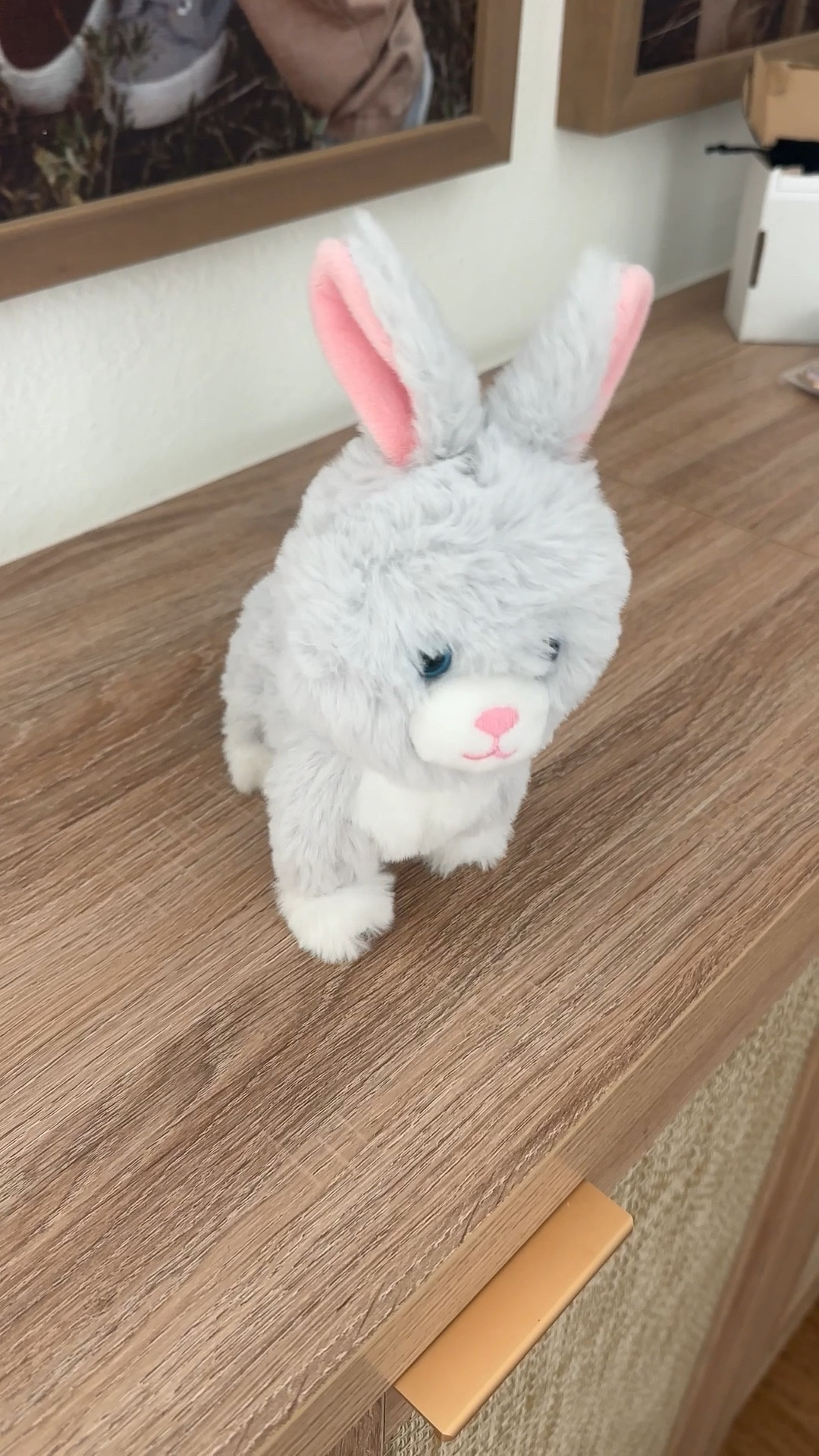 Plays music, batteries included and just $7!  Adorable Easter basket stuffer for littles! 🐰
.


#LTKmomlife #LTKSeasonal #LTKKids