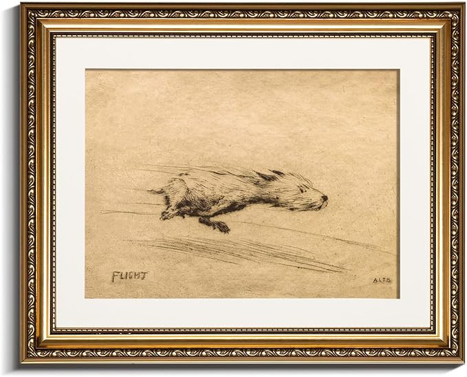 InSimSea 13x16 Gold Framed Dog Wall Art, Vintage Running Dog Sketch Prints, Antique Minimalist Fa... | Amazon (US)