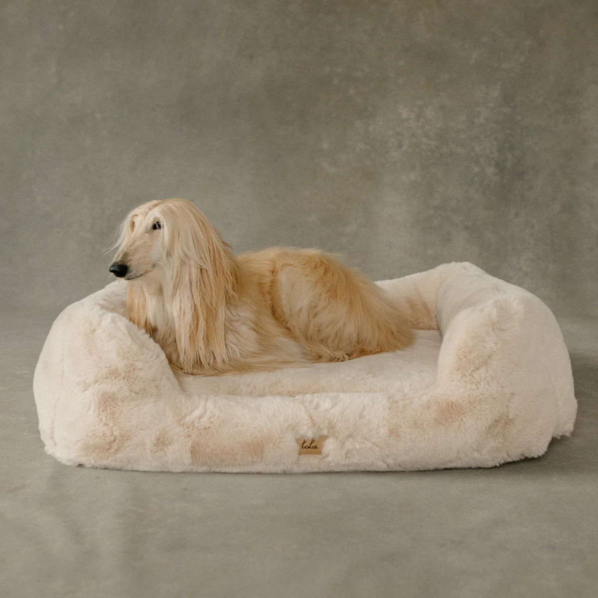The Lola Pet Bed | Bondi Beige - Medium / Large | Lola Blankets