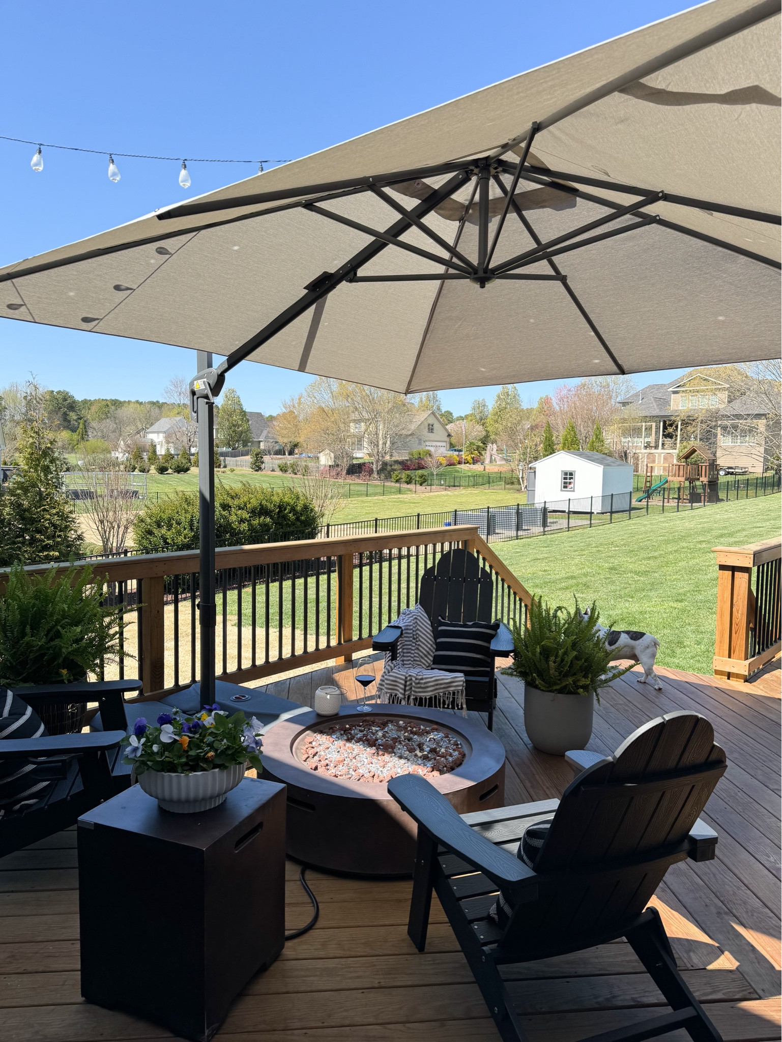 Purple Leaf Cantilever Umbrella

10ft cantilever umbrella, umbrella stand, umbrella cover, fire pit, propane table, foldable Adirondack chairs, planters

Use code: QPF2HB8A to receive a 5% discount on the umbrella through 4/30/24.

#LTKhome #LTKSeasonal #LTKparties