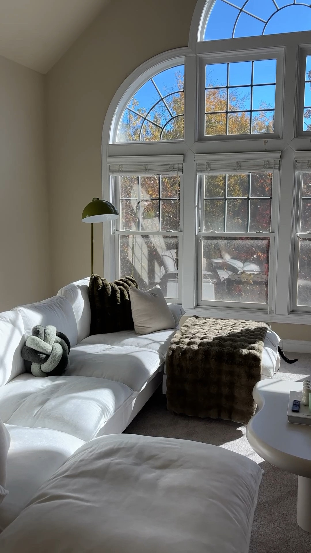 Setting up some new loft decor 🌱🧸

#LTKFindsUnder50 #LTKStyleTip #LTKHome