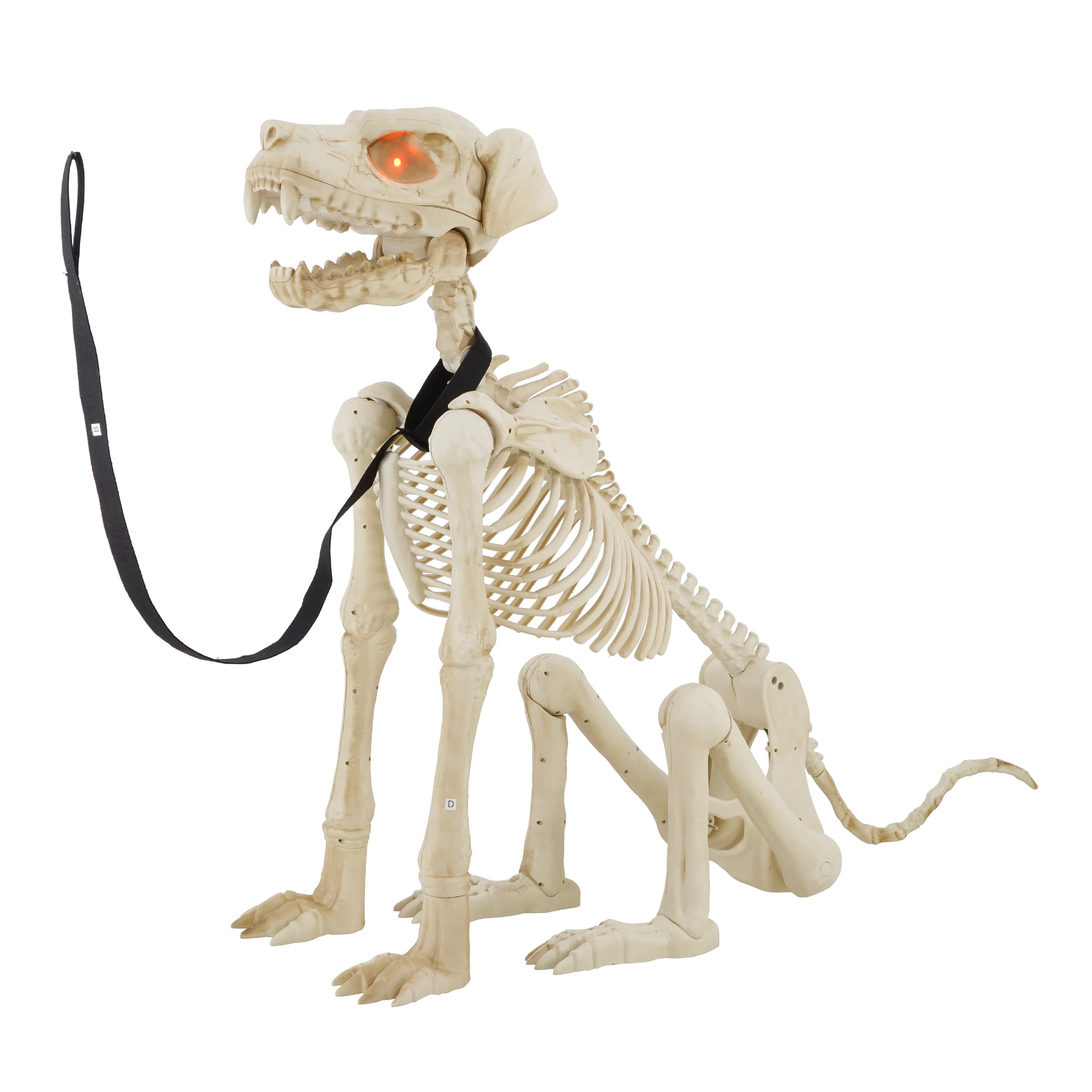 Animated White Plastic Skeleton Dog, 60 inch, Halloween Decoration, by Way to Celebrate | Walmart (US)