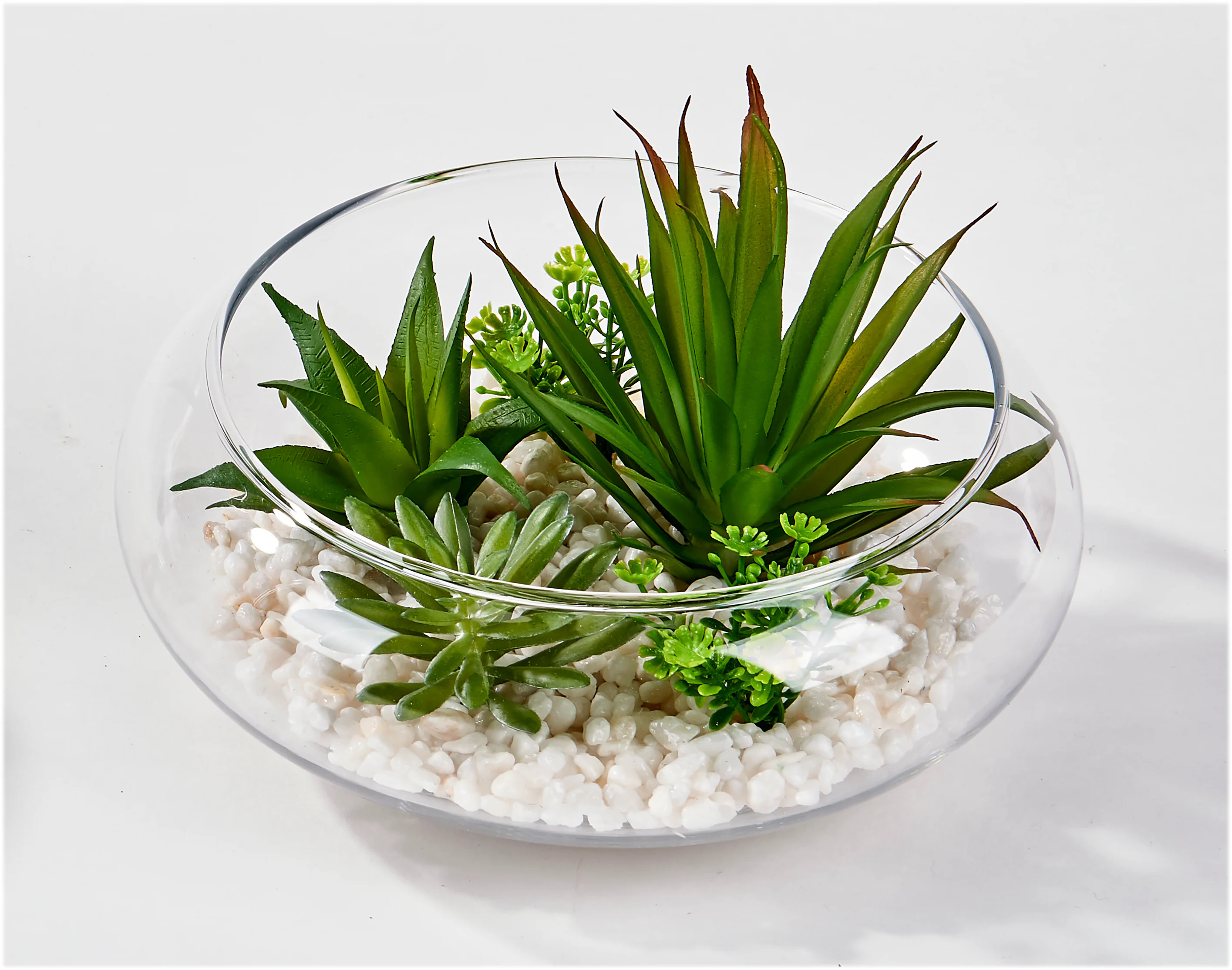 Worth Imports 6-in Green Indoor Desktop Succulent Artificial plant one_size | 1943 | Lowe's