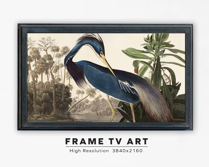 Samsung Frame TV Art. Vintage Audubon Painting. Louisiana Heron. John James Audubon. Instant Digi... | Etsy (US)