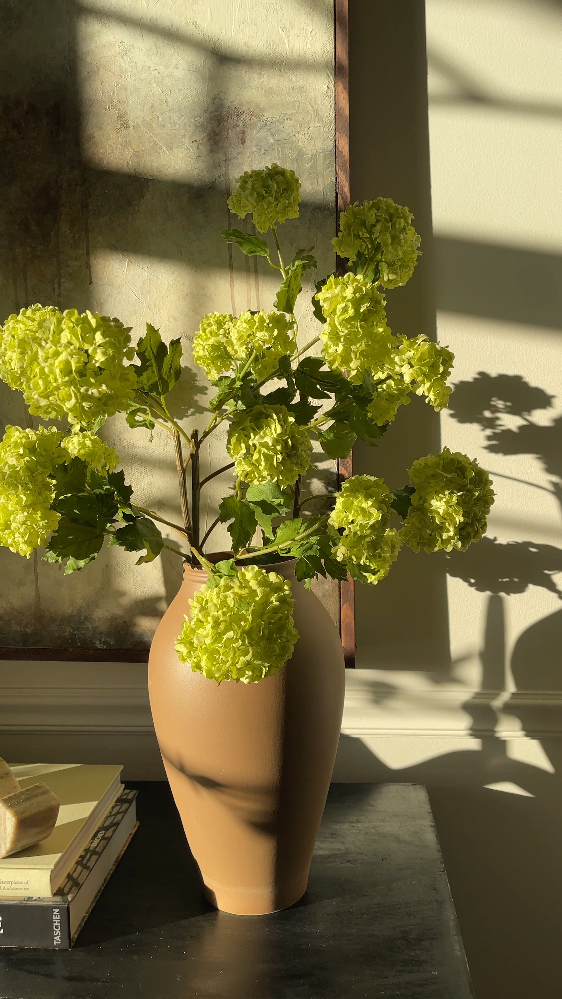 “Keep your face to the sun and you will never see the shadows”…I think Helen Keller said that and I’ve always loved it. 

I also LOVE these faux snowball stems 🤩

Faux stems, home decor, faux plants, vase, coffee table book, shelf styling 

#LTKhome