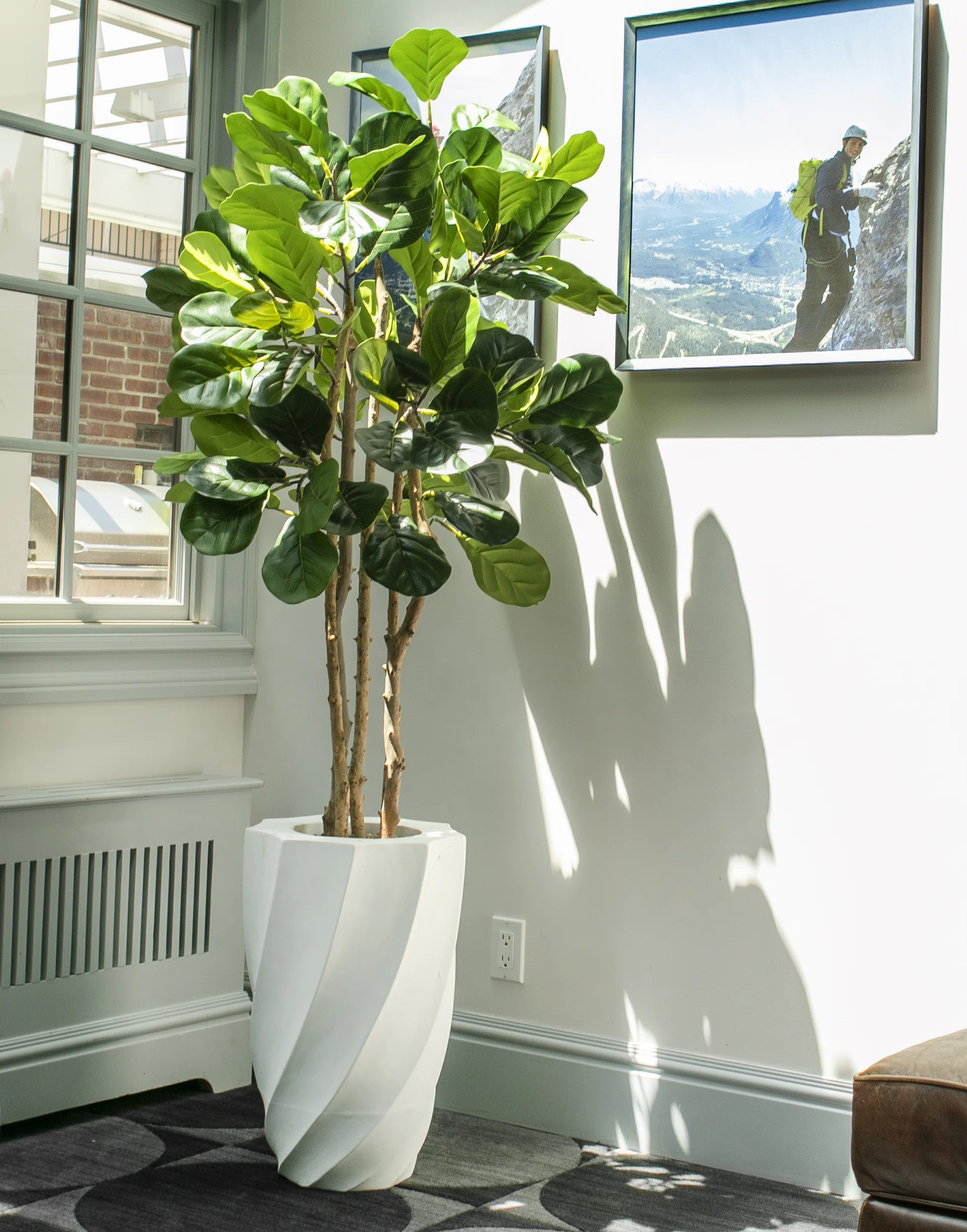 Vintage Home 60"H Fig Tree 28"H Fiberstone Planter & Reviews - Wayfair Canada | Wayfair North America