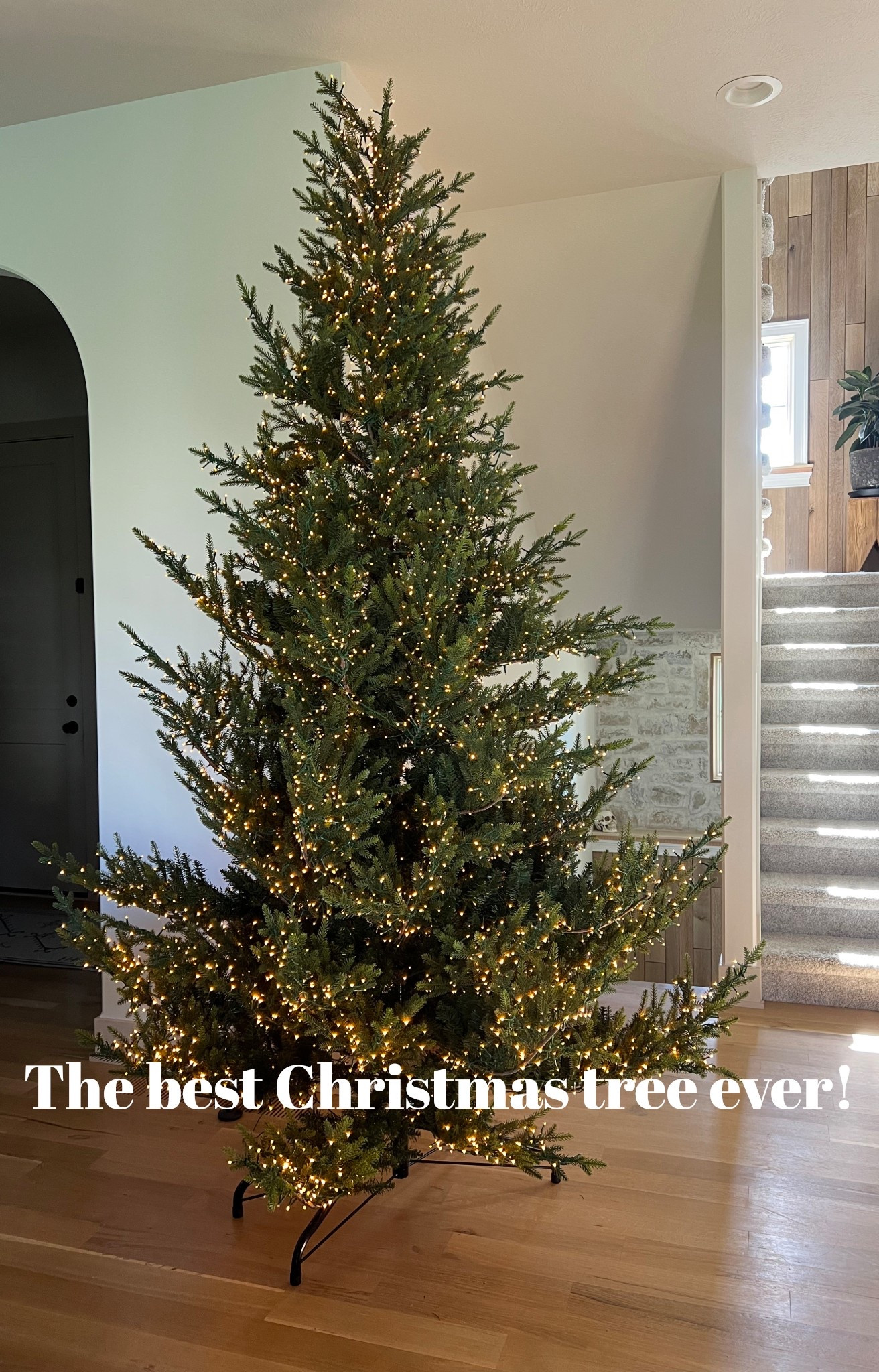 The best Christmas tree I have ever owned! Been wanting this one for years and it’s perfect! 😍🎄

This is the 9’ one and we have 10’ ceilings. The top isn’t all the way straightened out on this one  

#LTKStyleTip #LTKHome #LTKSeasonal