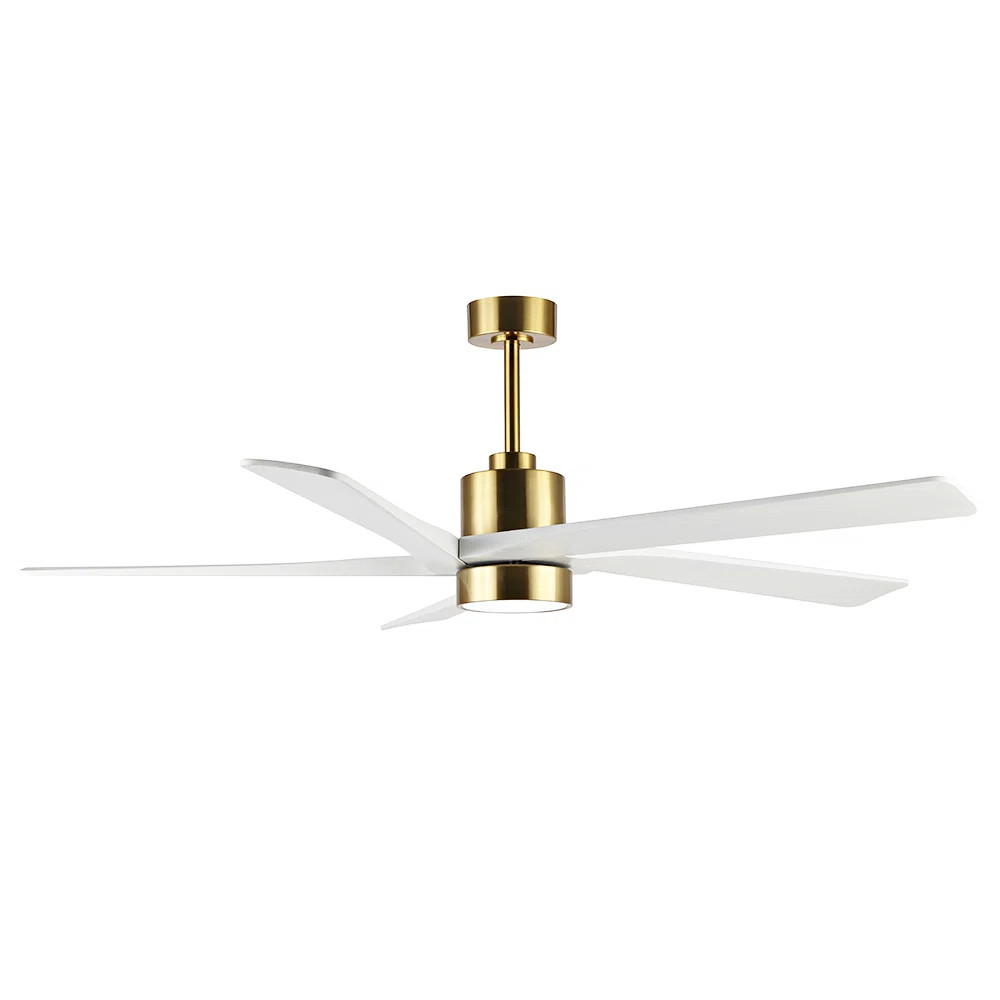 Athanafis Ceiling Fan with LED Lights | Wayfair North America