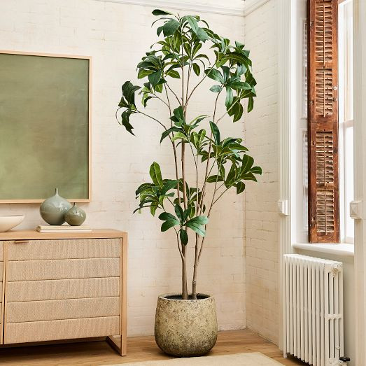 Faux Frangipani Tree | West Elm (US)