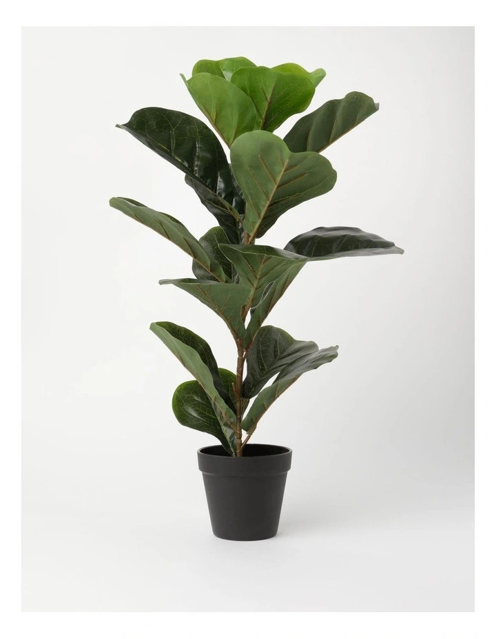 Medium Rubber Artificial Plant 65cm | Myer