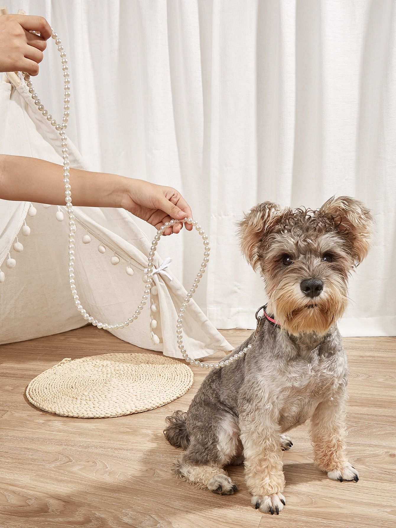 1pc Pearl Beaded Pet Leash | SHEIN