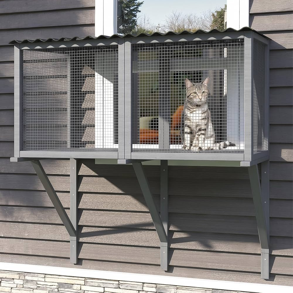 Cat Catio, Cat Window Perch for Large Indoor Cats - for Sunbathing, Napping & Overlooking, Wooden... | Amazon (US)