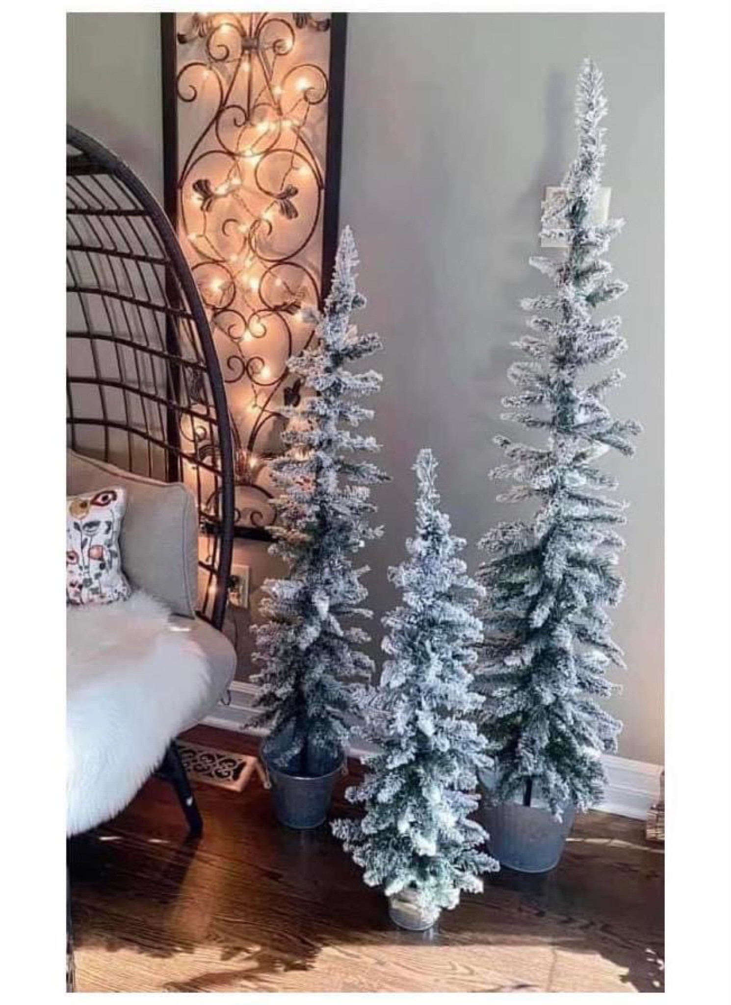 Flocked trees

#LTKSeasonal #LTKHome