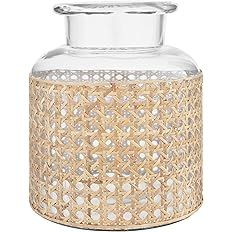 Bloomingville 8" H Glass Decorative Cane Sleeve Vase, Clear | Amazon (US)