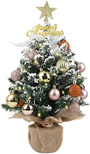 Small Christmas Tree，24 Inches White Flocked Christmas Tree，Pre-Lit Artificial Mini Christmas... | Amazon (US)