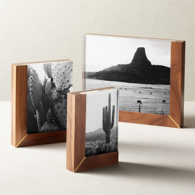 Rudd Walnut and Acrylic Frames | CB2 | CB2
