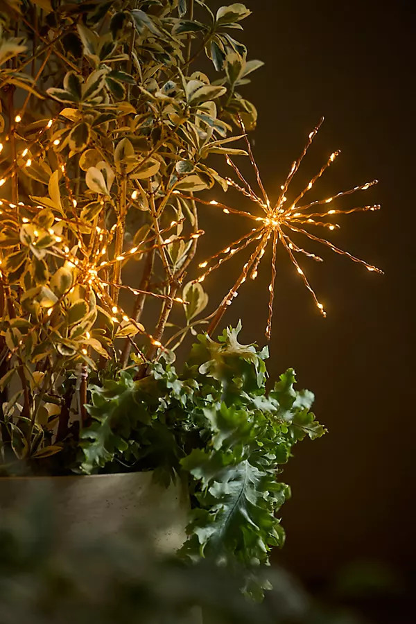 Stargazer Twinkling Supernova Stake Lights, Set of 3 | Anthropologie (US)