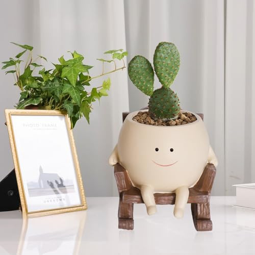 QIAOLY Rocking Chair Face Resin Planter Pot with Drainage Cute Flower Pots for Succulents Plants Live Indoor Outdoor Planters for Houseplants Gift Small (Small) | Amazon (US)