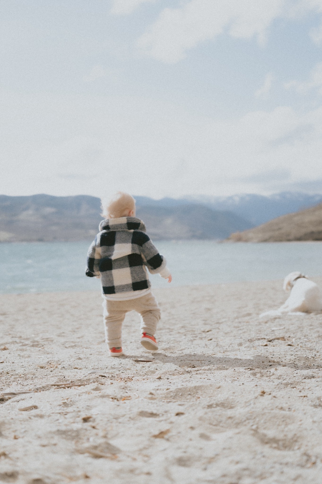 Rain or shine we love our See Kai Run mini sneakers 👟 @Zappos 
Benji layering a flannel overshirt over a @jcrew kids’ 1987 heritage cotton rollneck sweater styled with knit joggers.

#LTKBaby #LTKmomlife #LTKKids