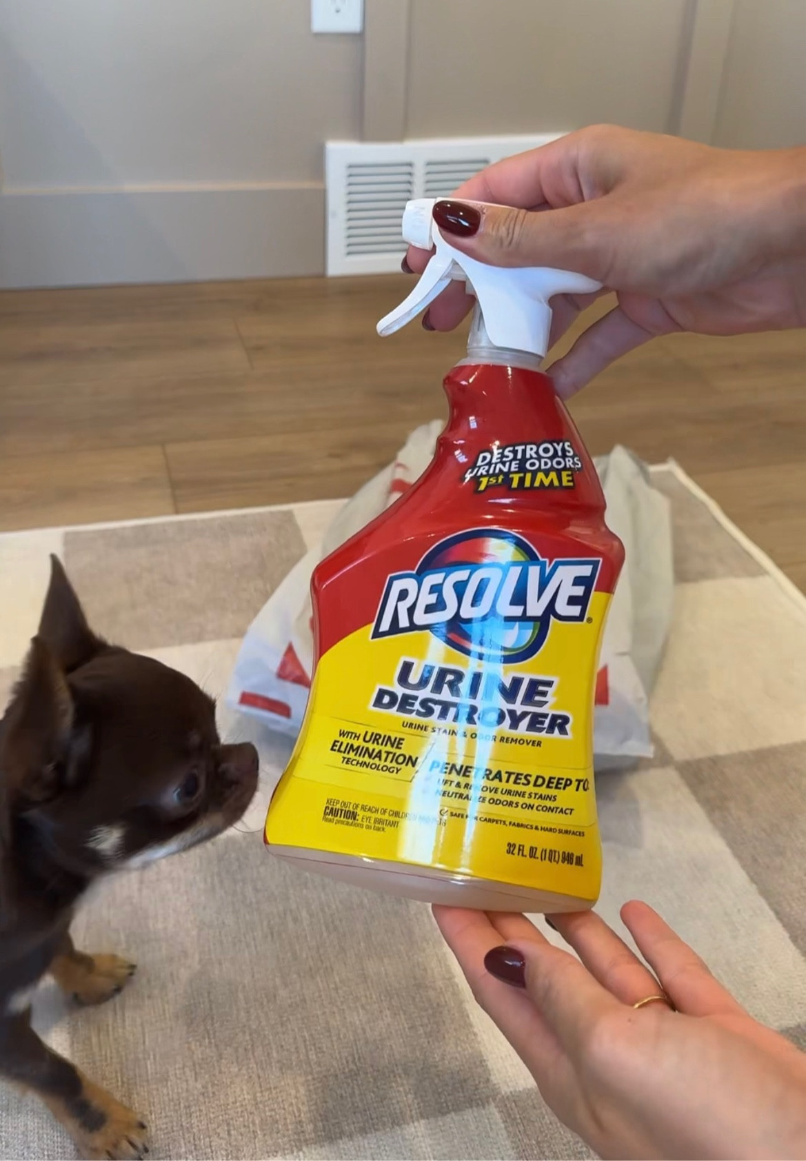 Love using the @resolvecleaner Urine Destroyer to clean up after Madi + Remi! It doesn’t just mask smells, it eliminates odors at the source👏 You can pick it up at @target or shop below on my @shop.ltk 🐾 #RESOLVEpartner #TargetPartner #ad #target #lovetheloveresolvethemess #ad 