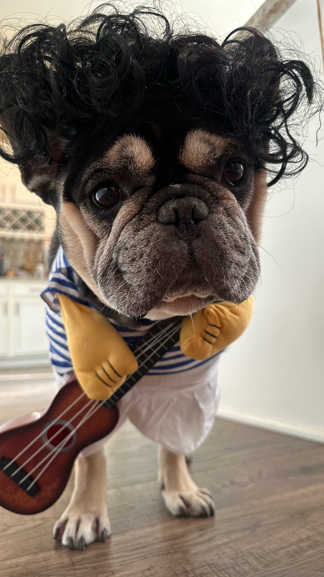 Deuce’s Halloween costume this year is a winner for sure 😂

#LTKPets #LTKHalloween #LTKFamily